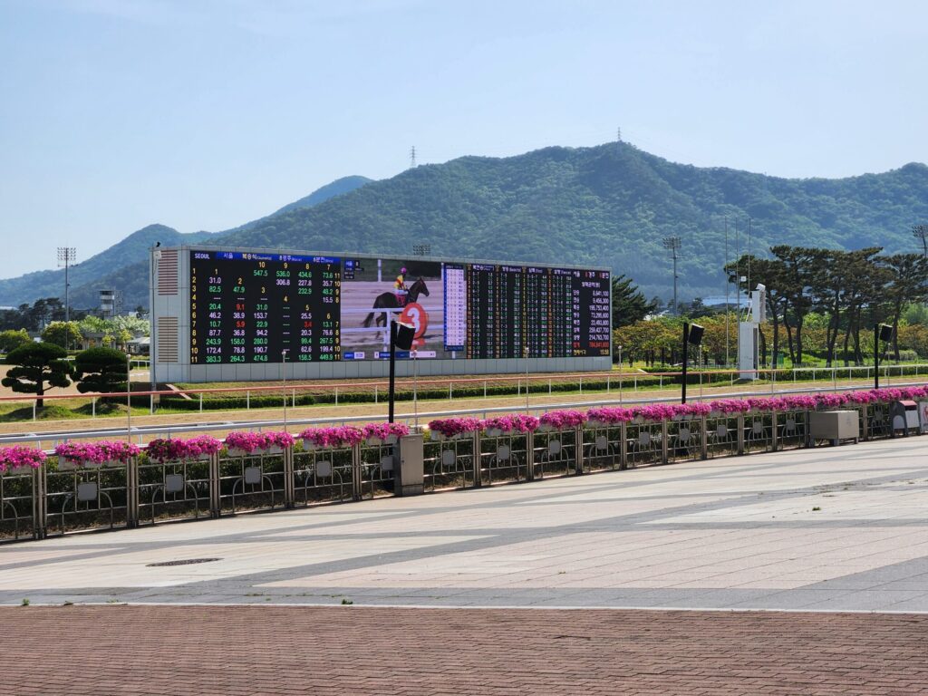 렛츠런파크 부산경남경마장 본장 중개화면 scaled 1