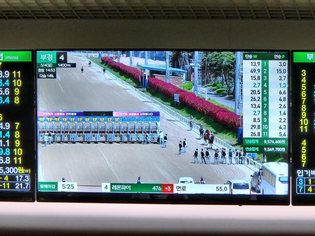 부산경남렛츠런 scaled 1